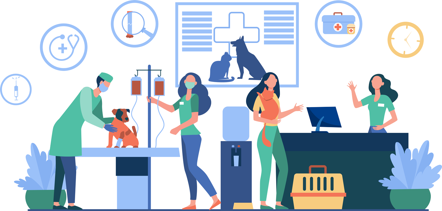 Vet clinic Vet clinic